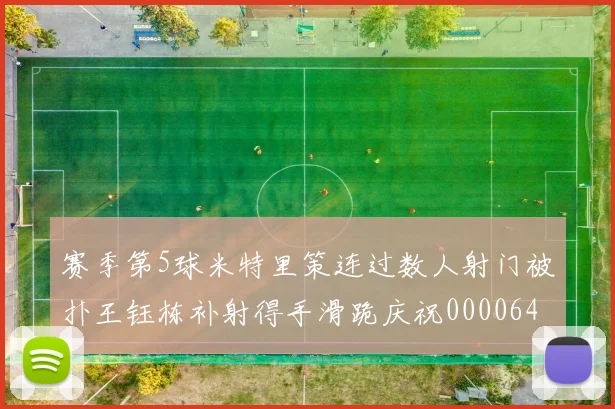 赛季第5球米特里策连过数人射门被扑王钰栋补射得手滑跪庆祝0000644