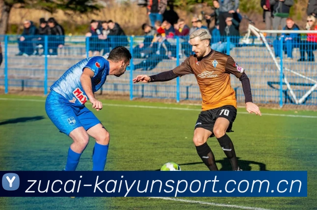 开云体育服务体系