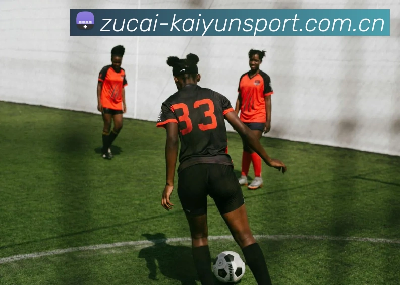 多媒体互动体验