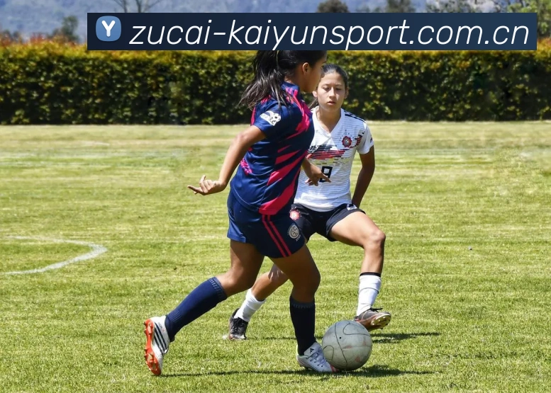 开云体育APP 体育赛事宣传图